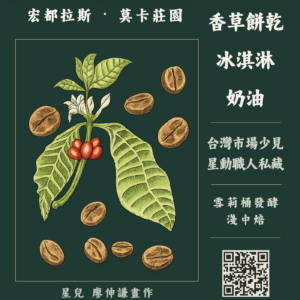 雪莉(淺中焙)