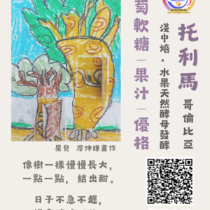 托利馬(淺中焙)