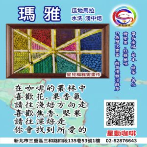 瑪雅(淺中焙)