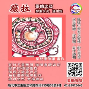 薇拉(淺中焙)