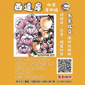 西達摩(淺中焙)