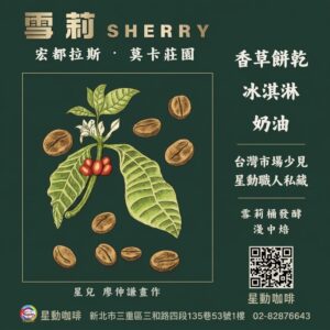 雪莉(淺中焙)